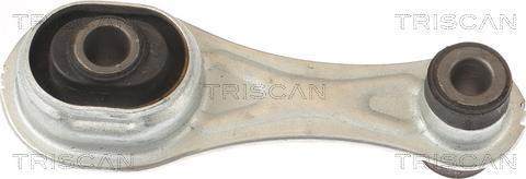 Triscan 8505 10124 - Подушка, опора, подвеска двигателя avtokuzovplus.com.ua