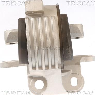 Triscan 8505 10129 - Подушка, опора, подвеска двигателя autodnr.net