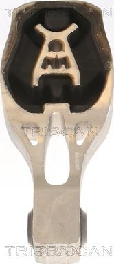 Triscan 8505 10130 - Подушка, опора, подвеска двигателя autodnr.net