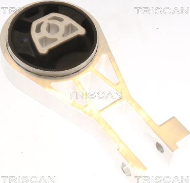 Triscan 8505 10134 - Подушка, підвіска двигуна autocars.com.ua