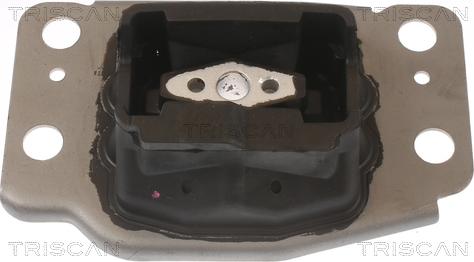 Triscan 8505 10137 - Подушка, підвіска двигуна autocars.com.ua