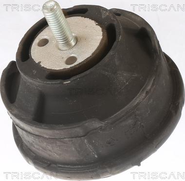 Triscan 8505 11101 - Подушка, підвіска двигуна autocars.com.ua