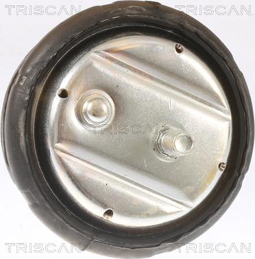 Triscan 8505 11101 - Подушка, підвіска двигуна autocars.com.ua