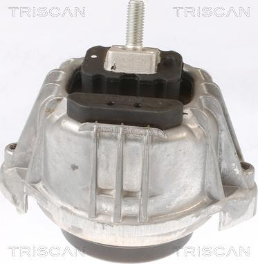 Triscan 8505 11103 - Подушка, підвіска двигуна autocars.com.ua