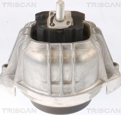 Triscan 8505 11104 - Подушка, підвіска двигуна autocars.com.ua