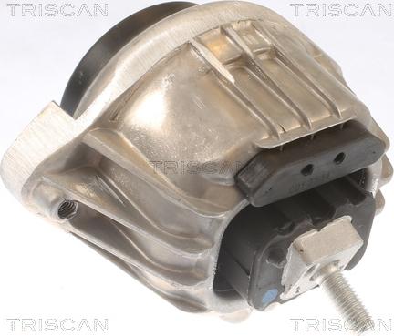 Triscan 8505 11105 - Подушка, підвіска двигуна autocars.com.ua