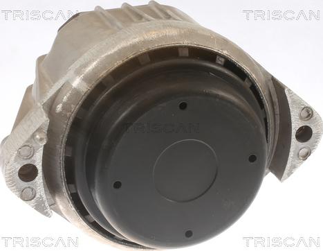 Triscan 8505 11105 - Подушка, підвіска двигуна autocars.com.ua