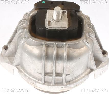 Triscan 8505 11106 - Подушка, підвіска двигуна autocars.com.ua