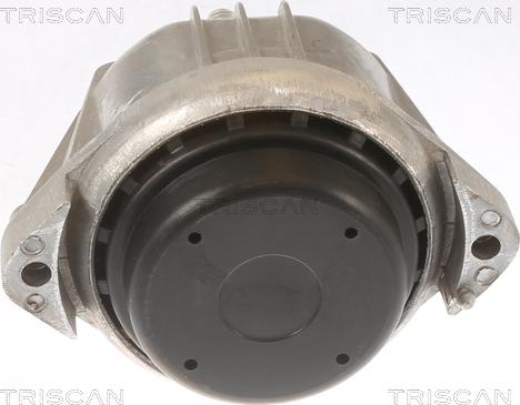 Triscan 8505 11107 - Подушка, підвіска двигуна autocars.com.ua