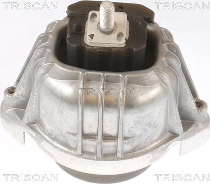 Triscan 8505 11107 - Подушка, підвіска двигуна autocars.com.ua