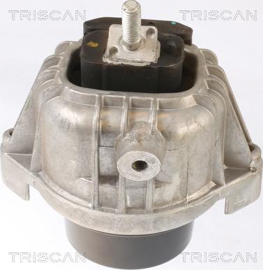 Triscan 8505 11110 - Подушка, підвіска двигуна autocars.com.ua