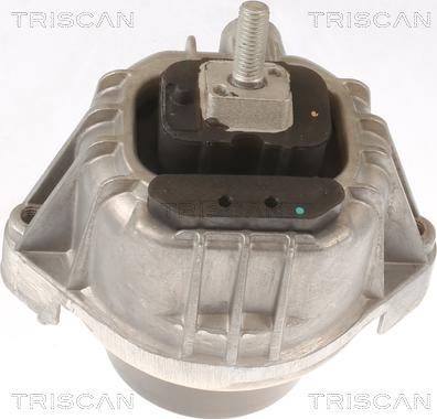 Triscan 8505 11111 - Подушка, підвіска двигуна autocars.com.ua