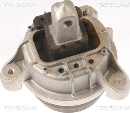 Triscan 8505 11116 - Подушка, підвіска двигуна autocars.com.ua