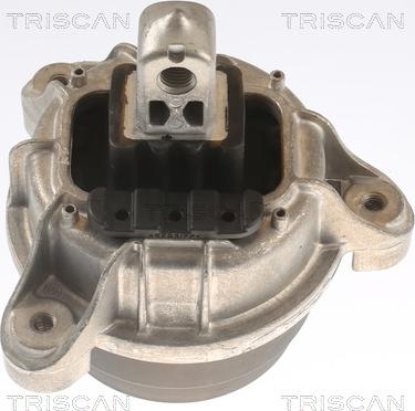 Triscan 8505 11118 - Подушка, опора, подвеска двигателя autodnr.net