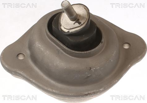 Triscan 8505 11119 - Подушка, підвіска двигуна autocars.com.ua