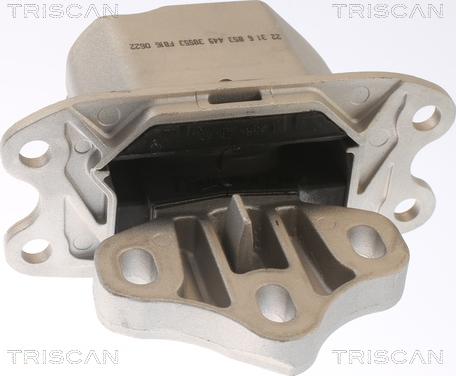 Triscan 8505 11120 - Подушка, підвіска двигуна autocars.com.ua