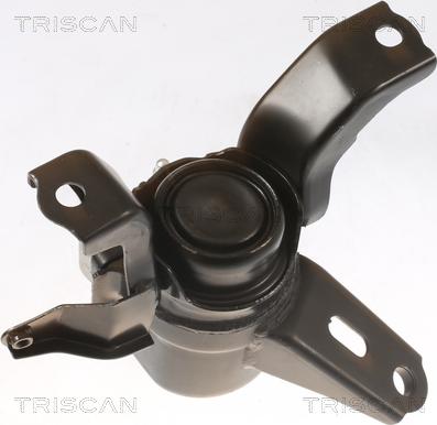 Triscan 8505 13101 - Подушка, підвіска двигуна autocars.com.ua