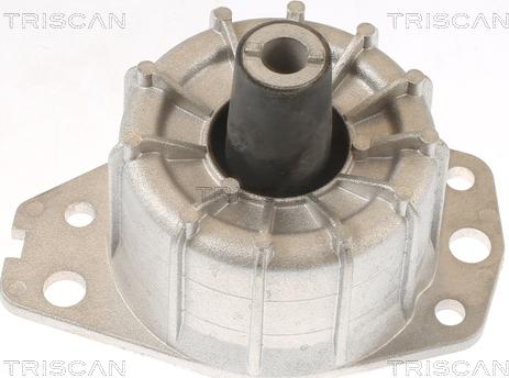 Triscan 8505 15109 - Подушка, опора, подвеска двигателя autodnr.net