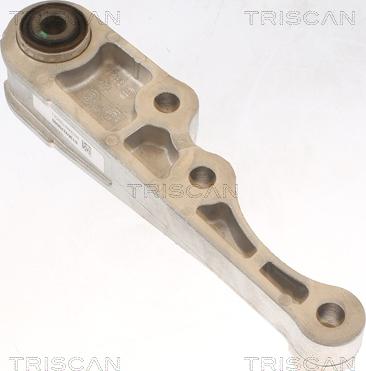 Triscan 8505 15113 - Подушка, підвіска двигуна autocars.com.ua