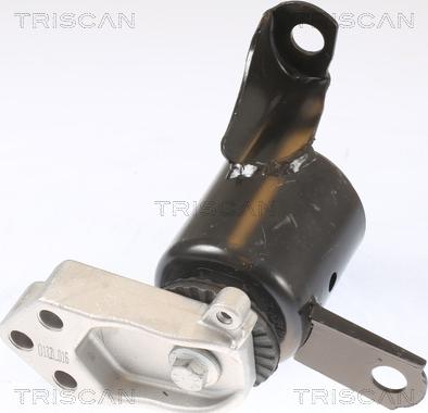 Triscan 8505 16102 - Подушка, підвіска двигуна autocars.com.ua