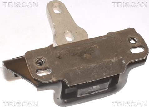 Triscan 8505 16107 - Подушка, підвіска двигуна autocars.com.ua