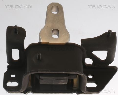 Triscan 8505 16112 - Подушка, опора, подвеска двигателя autodnr.net