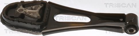 Triscan 8505 16114 - Подушка, опора, подвеска двигателя autodnr.net