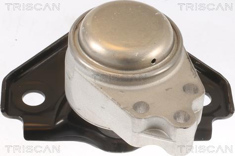 Triscan 8505 16119 - Подушка, підвіска двигуна autocars.com.ua