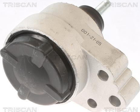 Triscan 8505 16120 - Подушка, підвіска двигуна autocars.com.ua