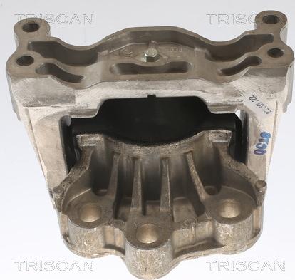 Triscan 8505 16121 - Подушка, підвіска двигуна autocars.com.ua