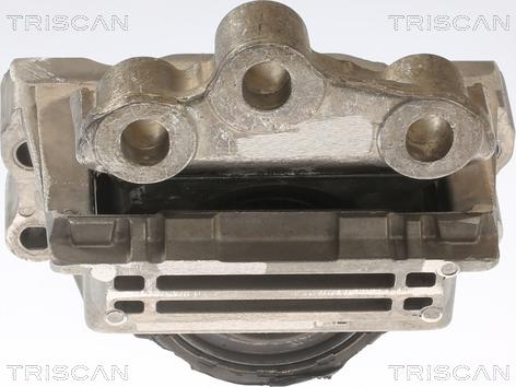 Triscan 8505 16121 - Подушка, підвіска двигуна autocars.com.ua