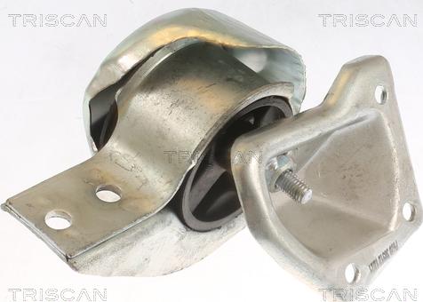 Triscan 8505 23100 - Подушка, опора, подвеска двигателя autodnr.net