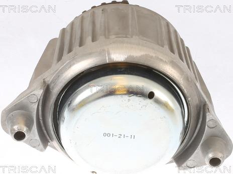 Triscan 8505 23101 - Подушка, підвіска двигуна autocars.com.ua