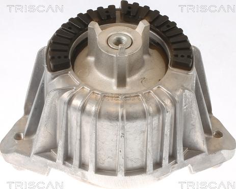 Triscan 8505 23101 - Подушка, опора, подвеска двигателя autodnr.net