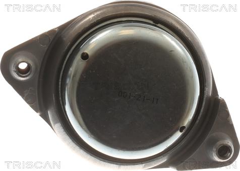 Triscan 8505 23107 - Подушка, опора, подвеска двигателя autodnr.net
