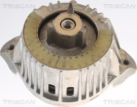 Triscan 8505 23108 - Подушка, підвіска двигуна autocars.com.ua