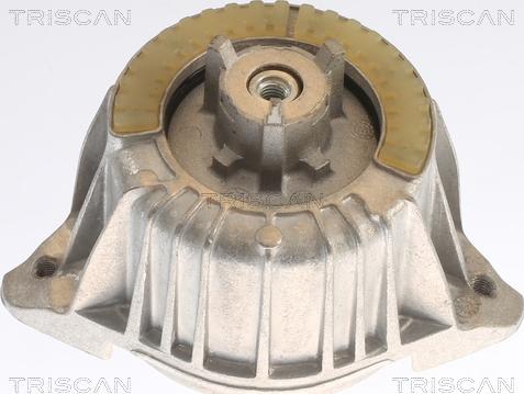 Triscan 8505 23109 - Подушка, підвіска двигуна autocars.com.ua