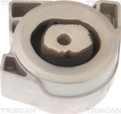 Triscan 8505 23200 - Подушка, підвіска двигуна autocars.com.ua