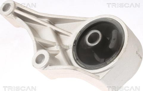 Triscan 8505 24100 - Подушка, підвіска двигуна autocars.com.ua