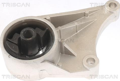 Triscan 8505 24102 - Подушка, опора, подвеска двигателя avtokuzovplus.com.ua