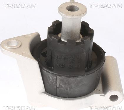 Triscan 8505 24103 - Подушка, підвіска двигуна autocars.com.ua