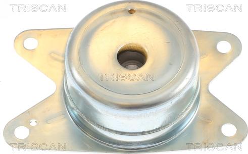 Triscan 8505 24105 - Подушка, опора, подвеска двигателя autodnr.net