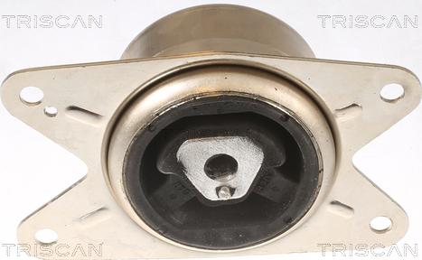 Triscan 8505 24111 - Подушка, підвіска двигуна autocars.com.ua