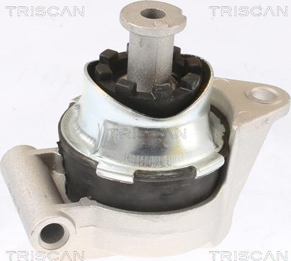 Triscan 8505 24117 - Подушка, підвіска двигуна autocars.com.ua