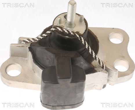 Triscan 8505 25100 - Подушка, підвіска двигуна autocars.com.ua