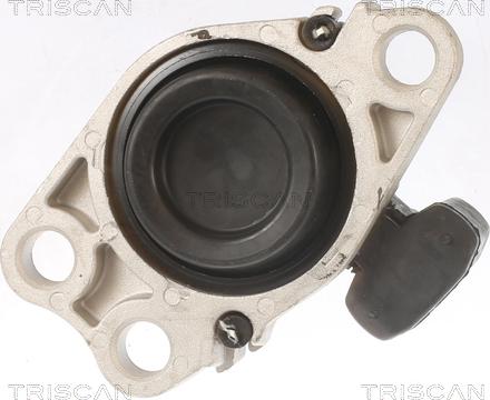 Triscan 8505 25100 - Подушка, підвіска двигуна autocars.com.ua
