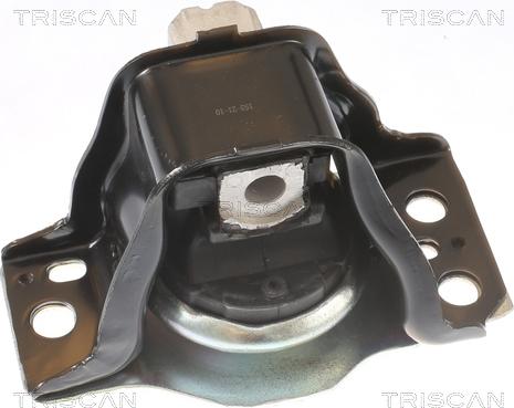 Triscan 8505 25102 - Подушка, опора, подвеска двигателя autodnr.net
