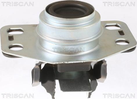 Triscan 8505 25107 - Подушка, підвіска двигуна autocars.com.ua