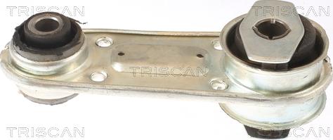 Triscan 8505 25109 - Подушка, опора, подвеска двигателя avtokuzovplus.com.ua