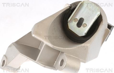 Triscan 8505 25110 - Подушка, підвіска двигуна autocars.com.ua